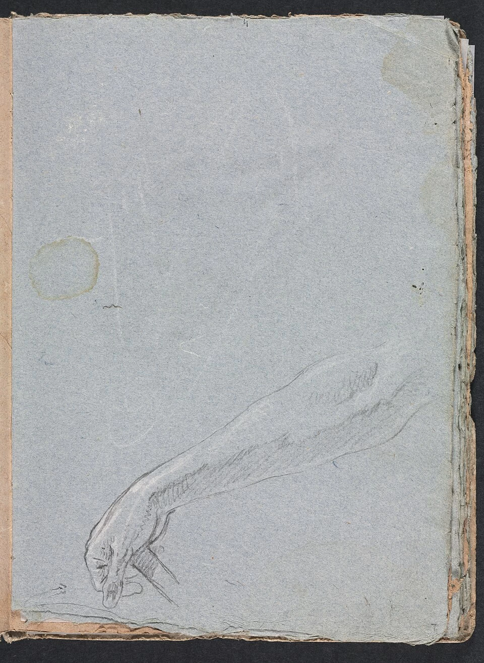 Braccio e mano destri - Cleveland Museum of Art 4